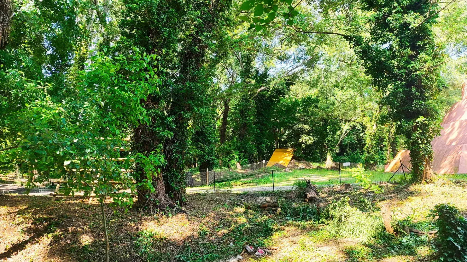 Vue de la forêt sauvage de Roquemaure et des aménagements naturels du parc aventure sans accrobranche Kapa Tahi.